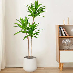 Dracena de Madagascar Artificial Realista