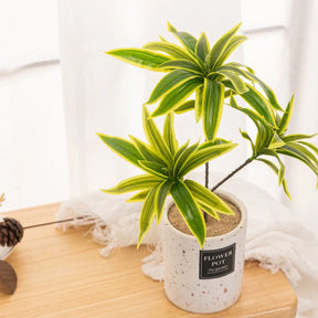 Planta Dracena Artificial Realista 36cm